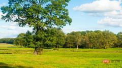 Share a popular Python visualization module, easy and quick to get started! !