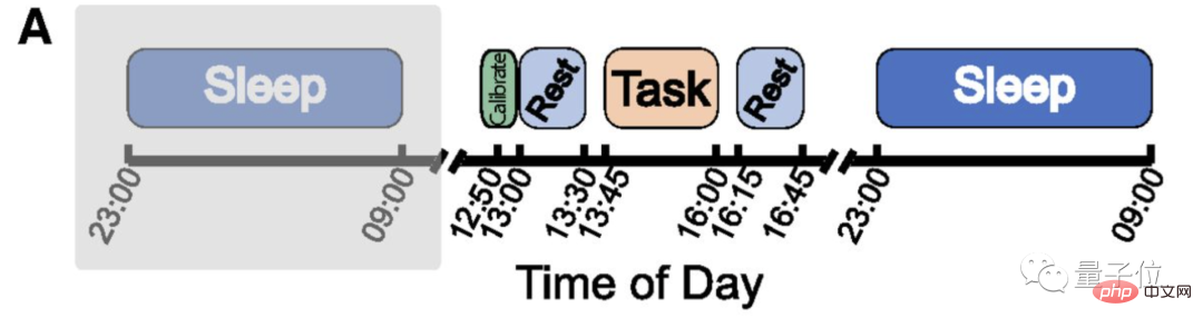 あなたの脳は実際に寝ている間に自動的に学習します。初の人体実験による証拠: リプレイの 1 ～ 4 倍の高速化