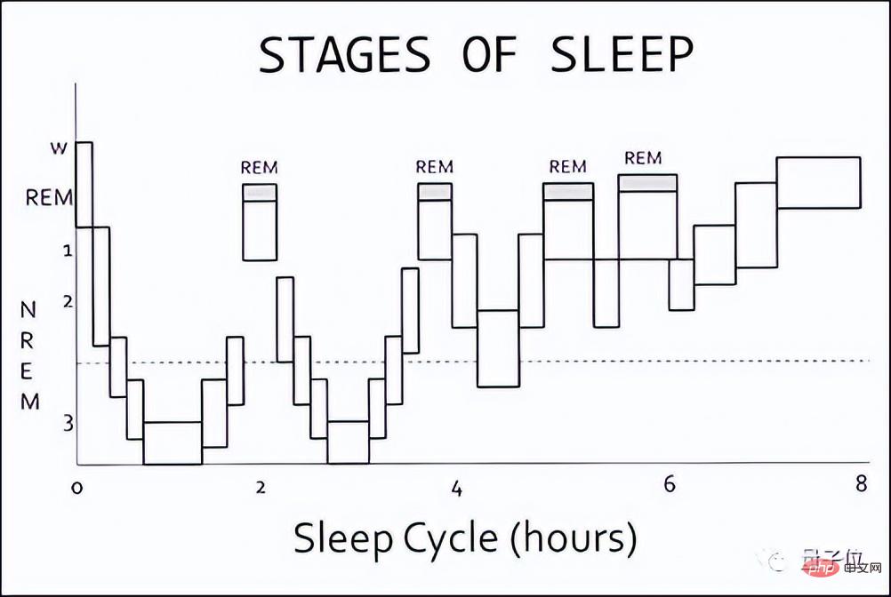 Your brain really learns automatically while you sleep! The first human experimental evidence: accelerated replay by 1-4 times