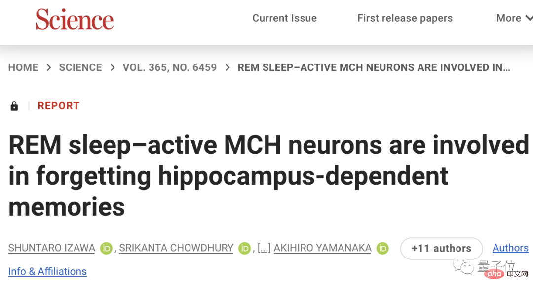 Your brain really learns automatically while you sleep! The first human experimental evidence: accelerated replay by 1-4 times