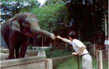 南洋理工提出全场景图生成PSG任务,像素级定位物体,还得预测56种关系