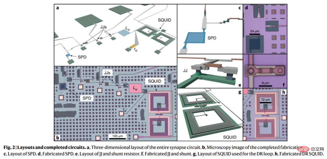 Will ultra-efficient artificial photoelectric neurons become a reality? 30,000 times faster than natural neurons, research published in Nature sub-journal