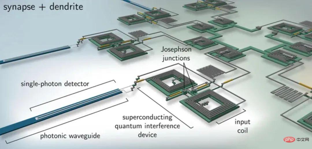 Will ultra-efficient artificial photoelectric neurons become a reality? 30,000 times faster than natural neurons, research published in Nature sub-journal