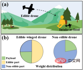 Sah tapi sakit? Drone yang boleh dimakan menghantar makanan terus kepada orang yang terperangkap