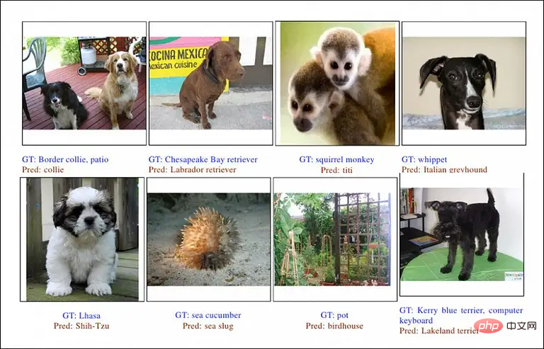 The future of CV is on these 68 pictures? Google Brain takes a deep look at ImageNet: top models all fail to predict