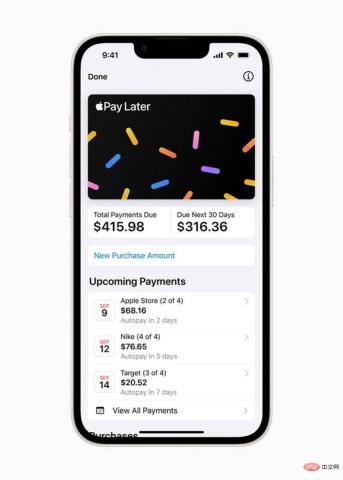 稍后如何使用 Apple Pay：设置、申请和购买