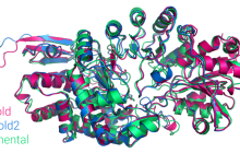 首个大众可用PyTorch版AlphaFold2复现，哥大开源，star量破千