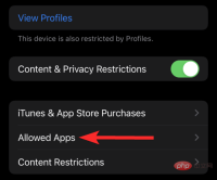 2022 年在 iPhone 和 iPad 上鎖定應用程式的 6 種方法