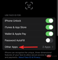 2022 年在 iPhone 和 iPad 上鎖定應用程式的 6 種方法