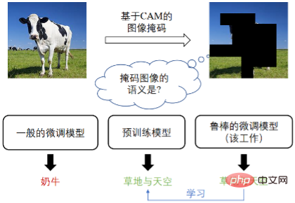 一句話為影片加特效；迄今為止最全昆蟲大腦圖譜