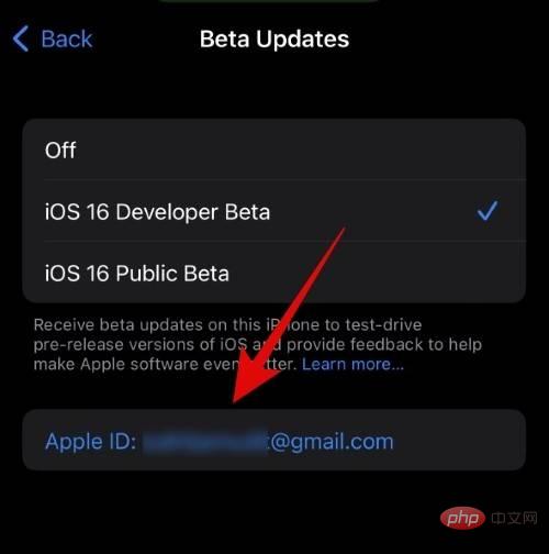 iOS ベータアップデート用に別の Apple ID を選択する方法