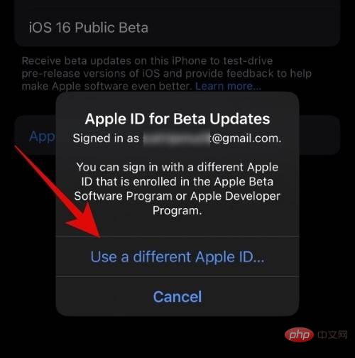 How to choose a different Apple ID for iOS beta updates