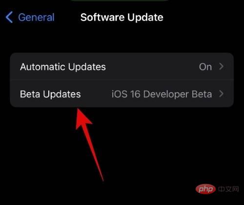 How to choose a different Apple ID for iOS beta updates