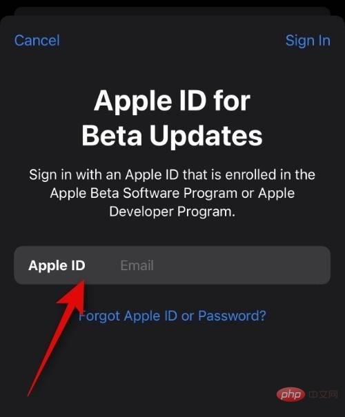 iOS ベータアップデート用に別の Apple ID を選択する方法