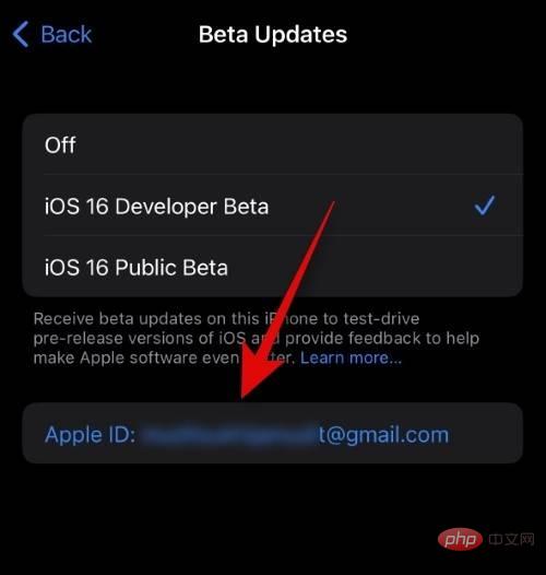 iOS ベータアップデート用に別の Apple ID を選択する方法0