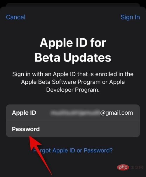 How to choose a different Apple ID for iOS beta updates