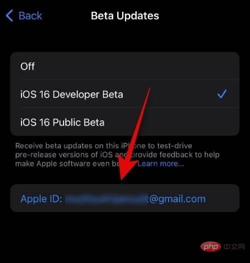 iOS ベータアップデート用に別の Apple ID を選択する方法1