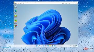适用于Windows 11的最佳虚拟机（免费和付费）