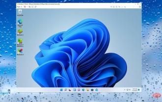 The Best Virtual Machines for Windows 11 (Free and Paid)