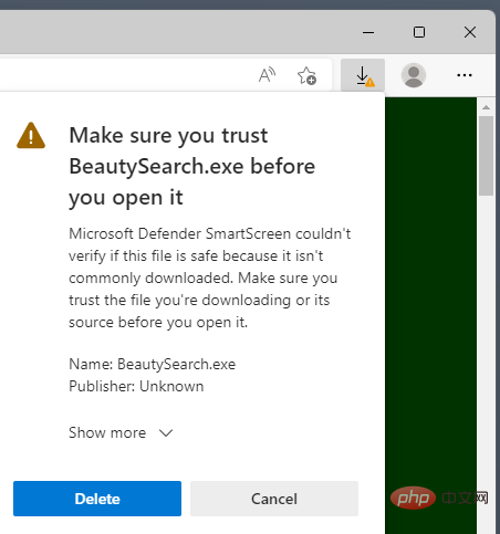 So gehen Sie mit der Warnung „seltene Downloads“ von Microsoft Edge um