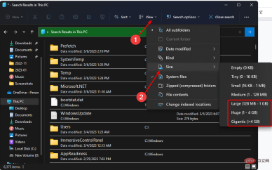 Size-sort-large-files