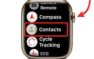 聯絡人未同步到 Apple Watch?怎麼修