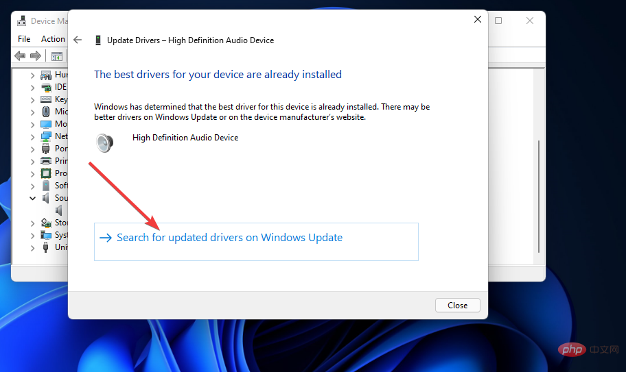 search-for-updated-drivers-on-windows-update