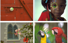 图片迟迟加载不了、一片马赛克?谷歌开源模型优先显示图像受关注部分