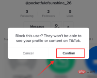 tiktok-block-8-1