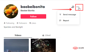 tiktok-block-web