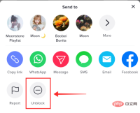 unblock-tiktok