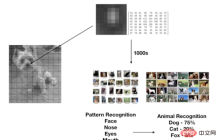 宠物的面部识别，已经实现了吗？