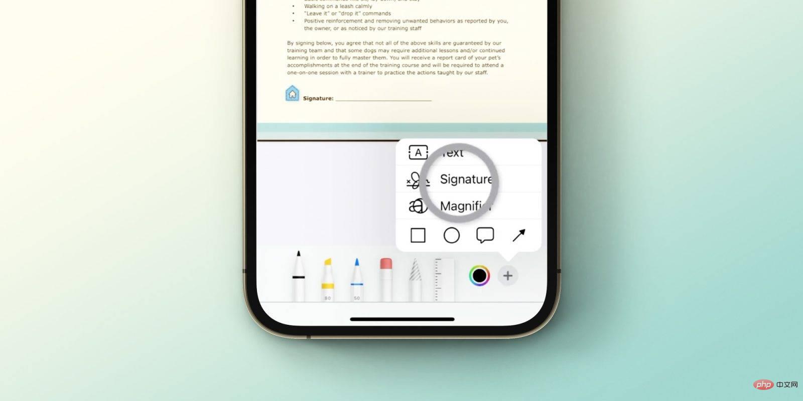 如何在没有第三方应用程序的情况下在 iPhone 和 iPad 上签署文档