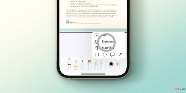 如何在没有第三方应用程序的情况下在 iPhone 和 iPad 上签署文档