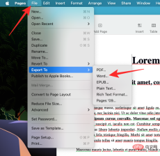 6 Ways to Open Pages Files on Windows 11