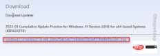 Windows 11 cumulative update not downloading and installing fix