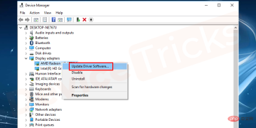 Display-adapters-Update-driver-1