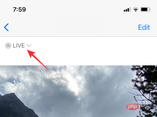 How to Loop Videos on iPhone: Everything You Need to Know