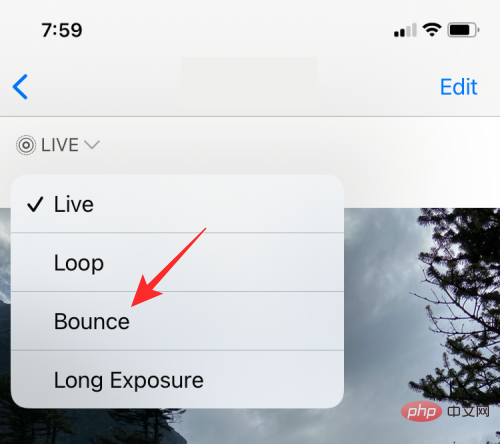 How to Loop Videos on iPhone: Everything You Need to Know