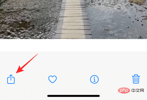 Comment mettre en boucle des vidéos sur iPhone : tout ce que vous devez savoir