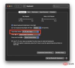 Mac の Touch Bar に F1、F2、F3 などのキーを表示する方法