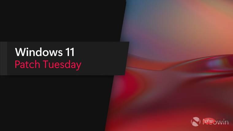 Windows 11 May Patch Tuesday (KB5013943) 发布了重要的安全修复程序