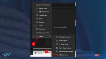 show-hidden-items
