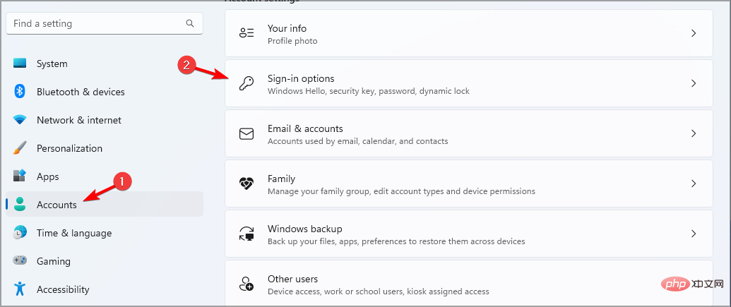 sign-in-options-w11