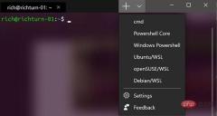 The best combination for writing Python code on Windows!