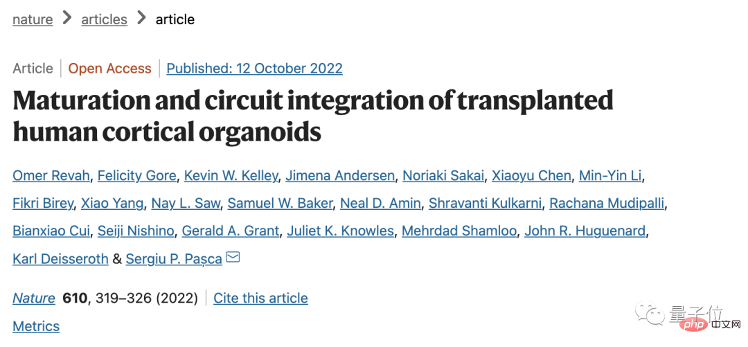 Ein Mensch-Maus-Hybridgehirn erscheint! 7-Jahres-Forschung der Stanford University in Nature veröffentlicht