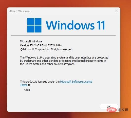 Cara menggunakan Sarikata Langsung dalam Windows 11 22H2