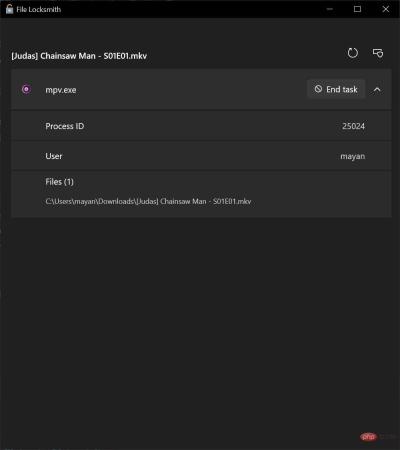 이제 Windows 11에서는 어떤 프로세스가 파일을 사용하고 있는지 확인할 수 있습니다.