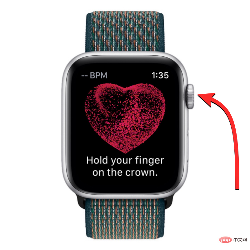 Aufzeichnen eines EKGs auf der Apple Watch: Eine Schritt-für-Schritt-Anleitung