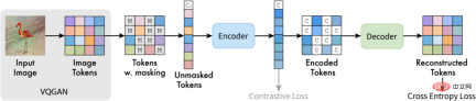 Google and MIT propose a unified framework MAGE: representation learning surpasses MAE, and unsupervised image generation surpasses Latent Diffusion Google and MIT propose a unified framework MAGE: representation learning surpasses MAE, and unsupervised image generation surpasses Latent Diffusion